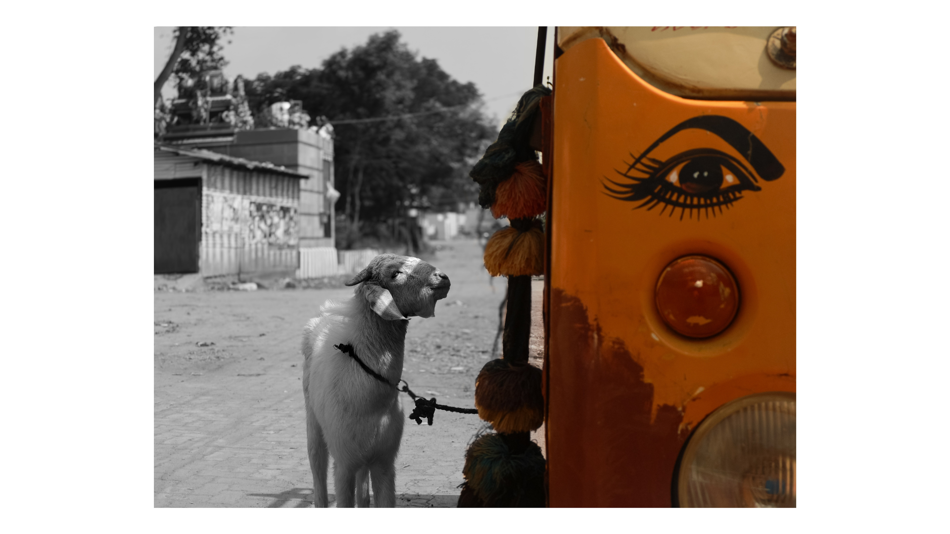 Avana Padam